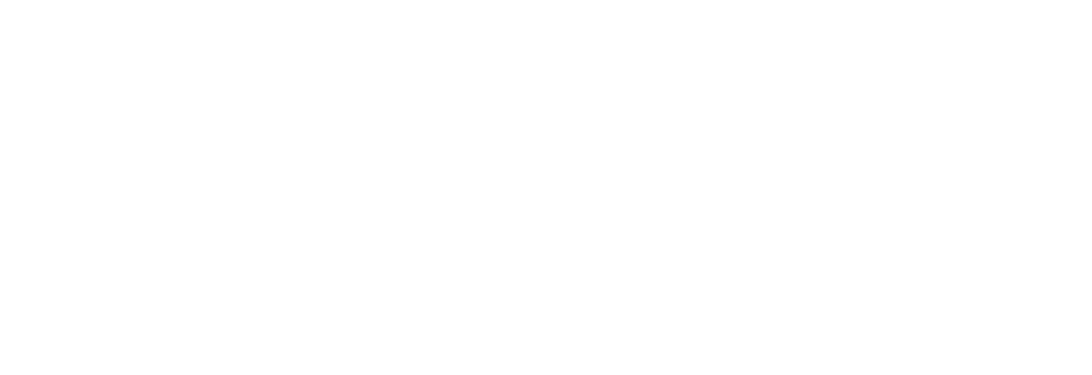 ELASTIC+